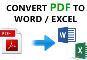 I will convert your PDF file to word or excel format